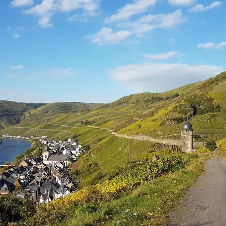 Roter Riesling Апартаменты *